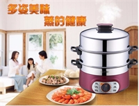 蘇泊爾電蒸鍋
