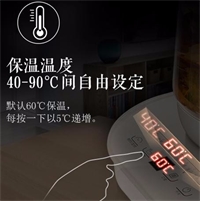 養(yǎng)生壺