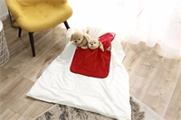 福犬賀歲-（紅/駝色）