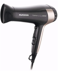 FLYCO/飛科FH6231 電吹風機家用吹風筒大功率2000W