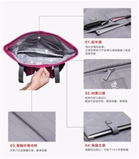 法國大使DELSEY 休閑雙肩包 703712600