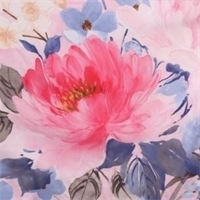 “妖嬈”長絨棉活套蠶絲被  PG-B2011