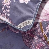 “塞浦路斯”歐風被 PG-B2019