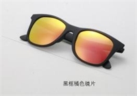 近視/陽光兩用防護太陽鏡 L013