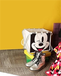 HI!MICKEY  時尚卡通收納籃