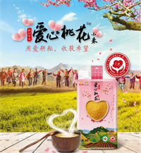 金龍魚愛心桃花小米系列