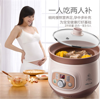 電燉盅 DDG-D20T5