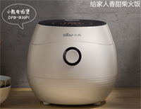電飯煲 DFB-B30P1