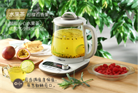 養(yǎng)生壺 YSH-B15R1