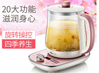 養(yǎng)生壺 YSH-A15E1