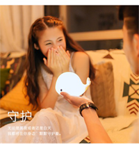 L2 海豚小夜燈