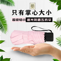 豪布斯五折傘