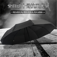 天堂傘 1933582E儒雅風格