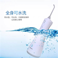 松下 （Panasonic）全身水洗防水潔牙器 超聲波水流沖洗器
