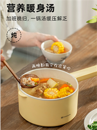 多功能電煮鍋單鍋