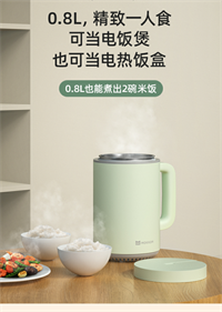 迷你低糖電飯煲