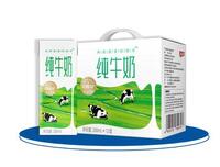 金河純牛奶