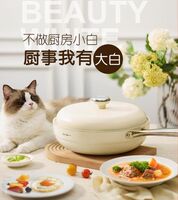 阿爾貝羅不粘炒鍋 2301190430
