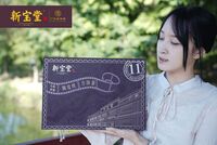 新寶堂陳皮絲方塊茶（10*25克）
