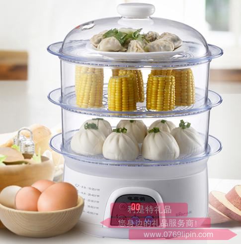 電蒸鍋DZG-305.jpg