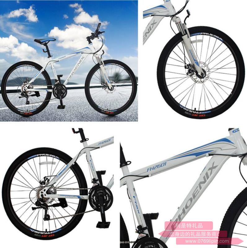 鳳凰山地車.jpg