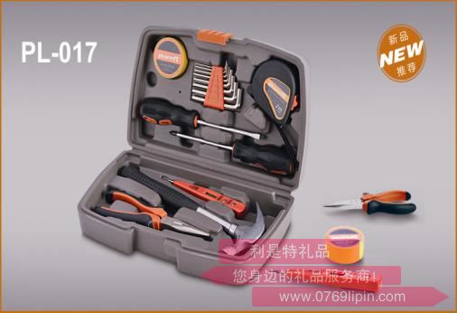 16件家用工具組合套裝PL-017.jpg