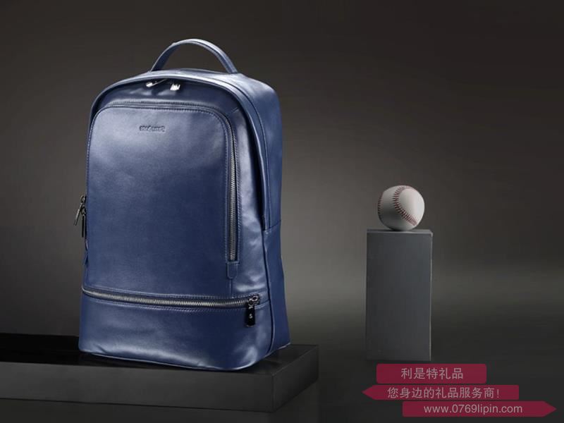 BN6x01001新秀麗雙肩包.jpg