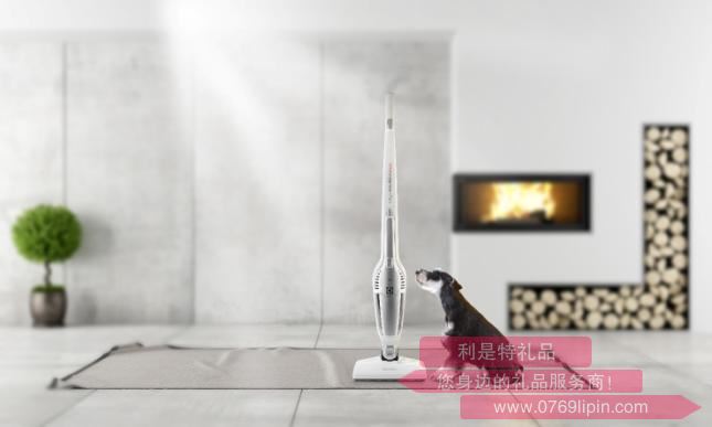ZB3150無線直立式吸塵器.jpg