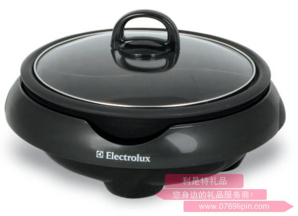 EGHP100 鴛鴦電火鍋.jpg
