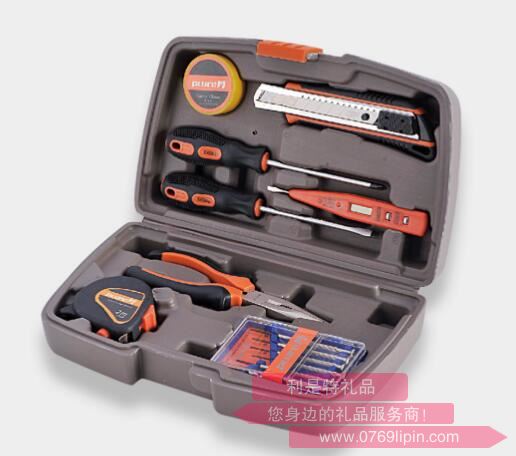 15件家用工具組合套裝PL-016.jpg