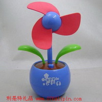 太陽能蘋果花006