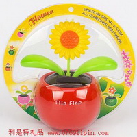 太陽能蘋果花002