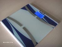 多功能VFS202系列電子秤C