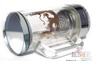 雙龍水晶辦公杯1號
