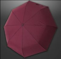 精品功能性雨傘LK-902（出水芙蓉)